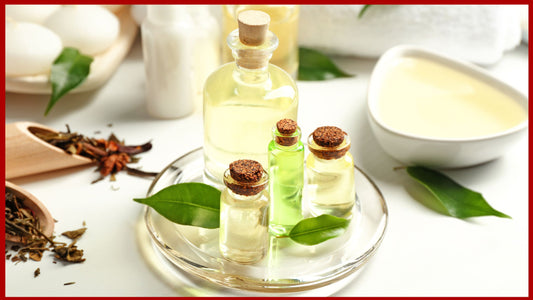 Aceite esencial árbol de té. Todos sus beneficios