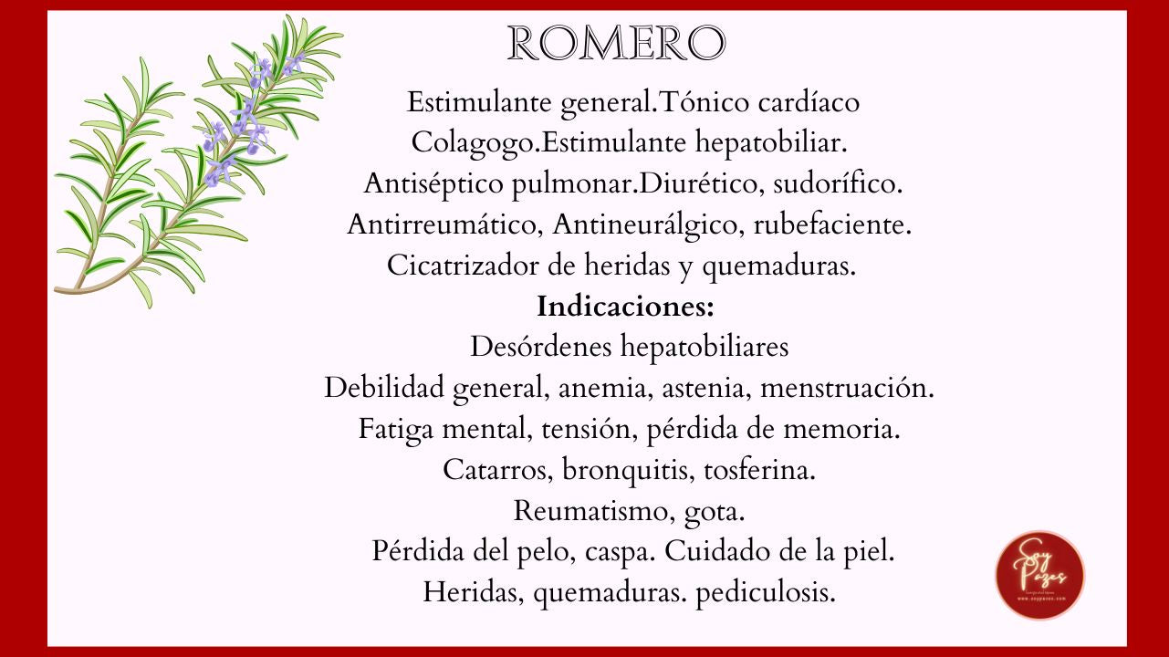 ACEITE ESENCIAL ORGÁNICO ROMERO 10 ML