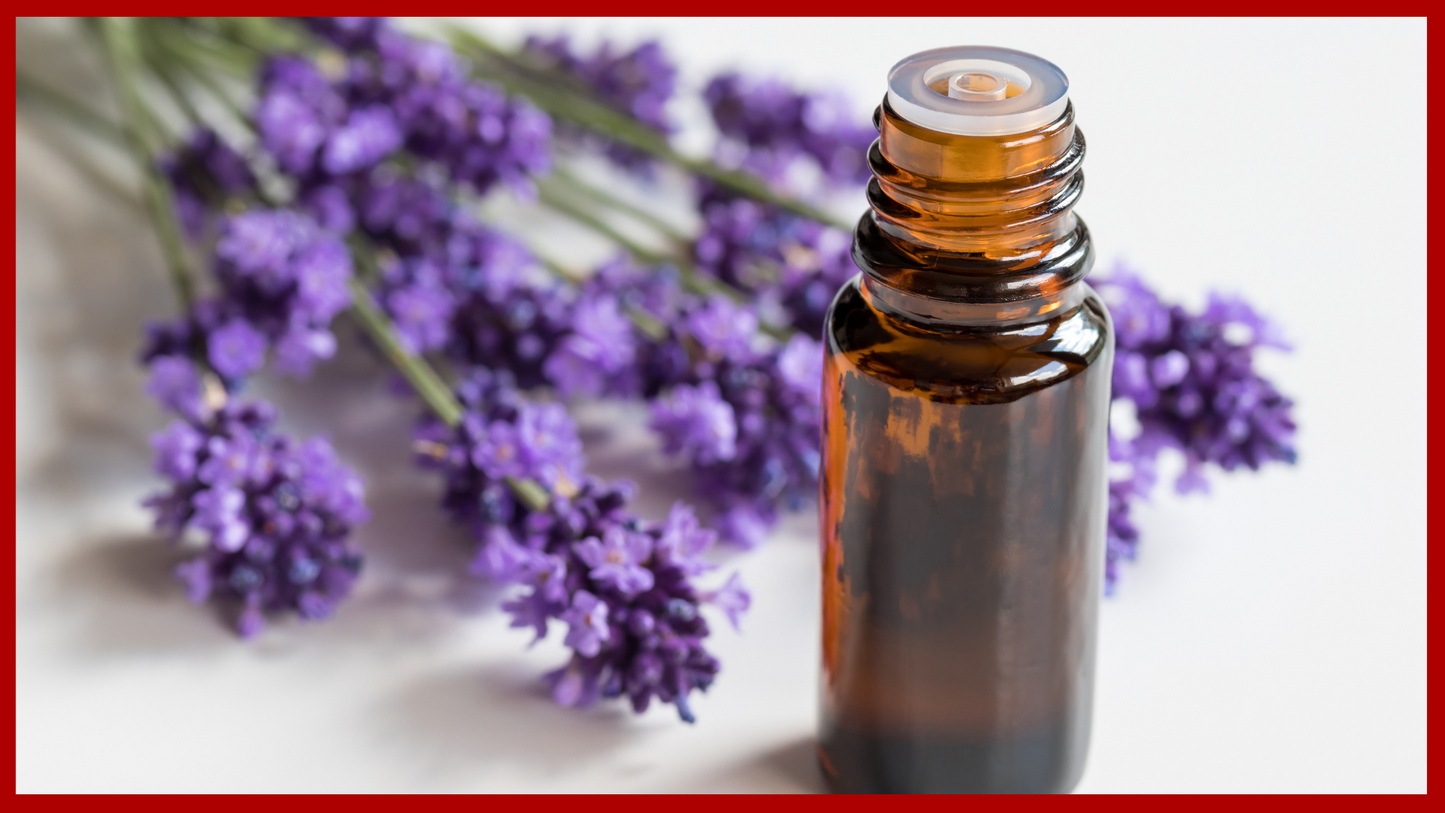 ACEITE ESENCIAL DE LAVANDA ALPINA ALTA 10ML