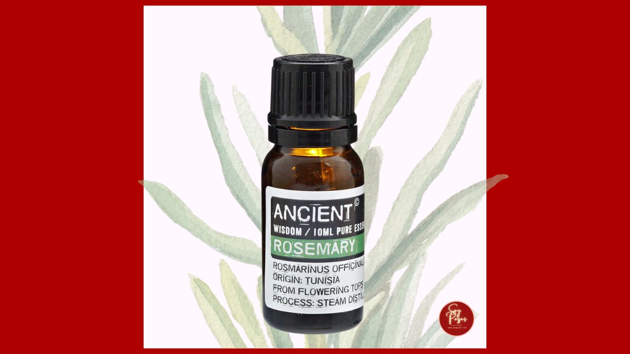 ACEITE ESENCIAL ORGÁNICO ROMERO 10 ML