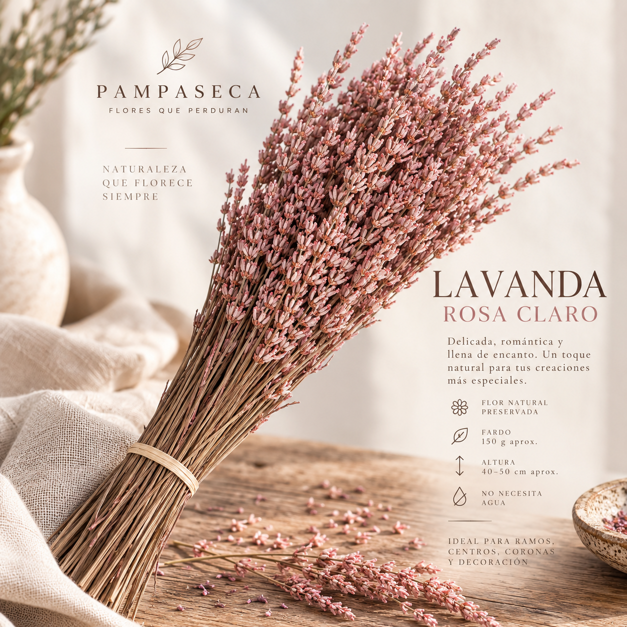 Lavanda rosa claro Preservada