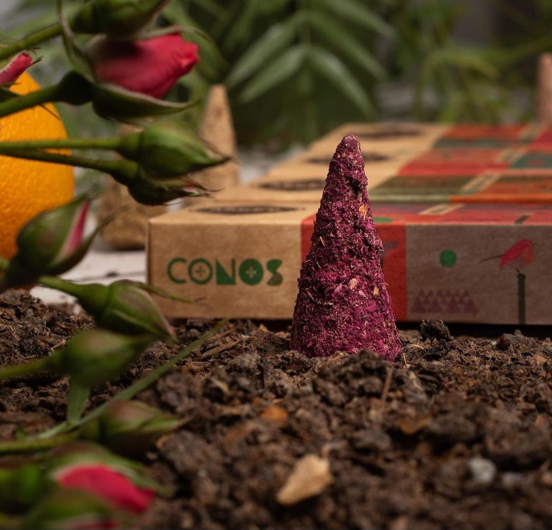 CONOS PÉTALOS DE ROSA SAGRADA MADRE