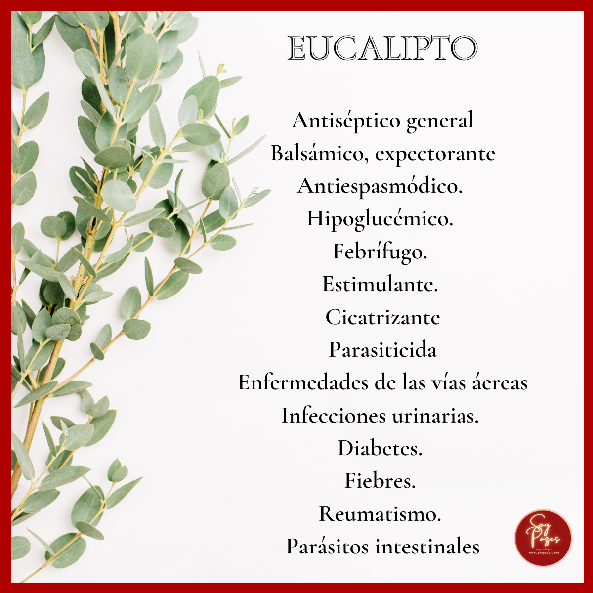 ACEITE ESENCIAL EUCALIPTO 500 ml