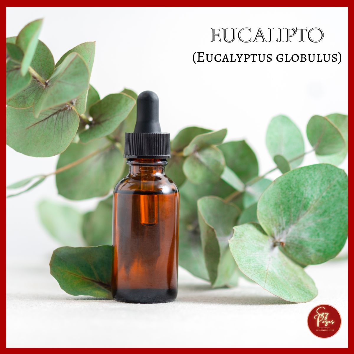 ACEITE ESENCIAL EUCALIPTO 10ML
