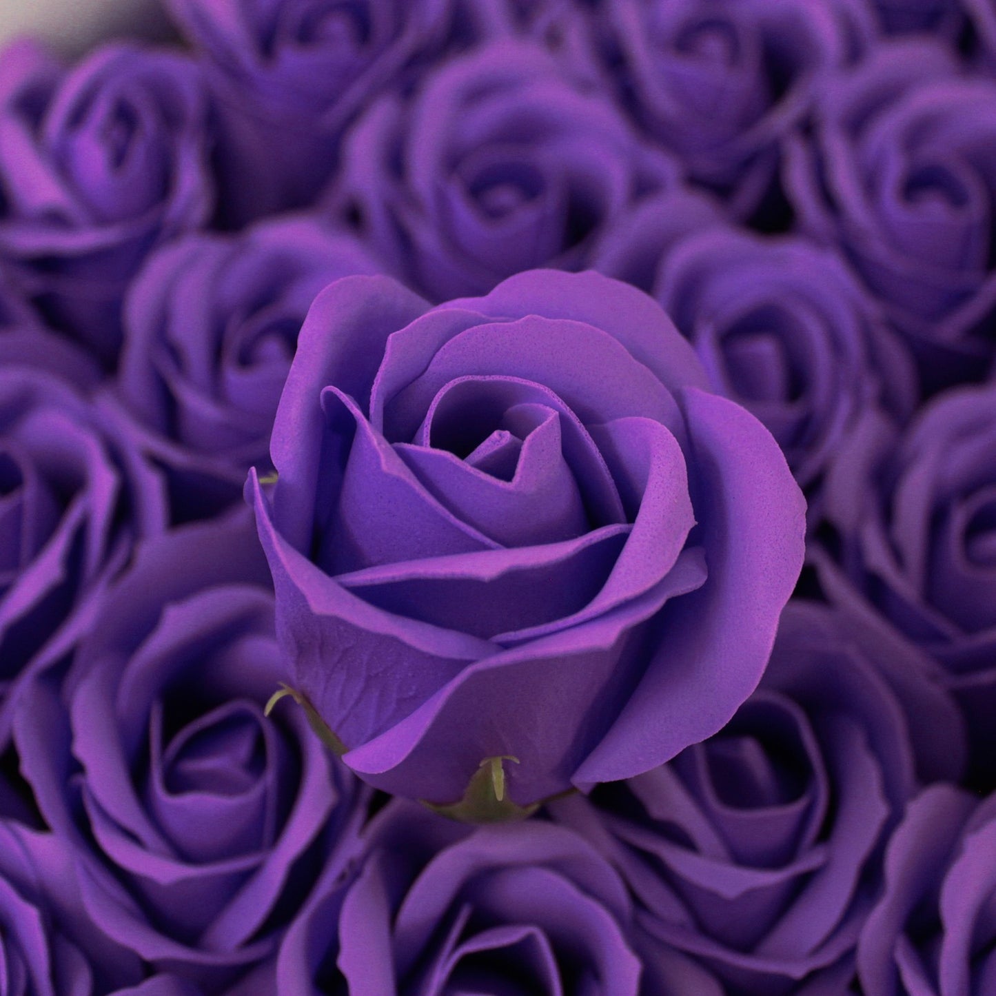 ROSAS DE JABÓN INVITADOS SOUVENIRS 50 UNIDADES