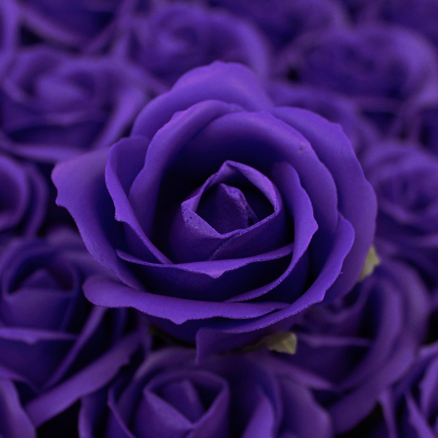 ROSAS DE JABÓN INVITADOS SOUVENIRS 50 UNIDADES