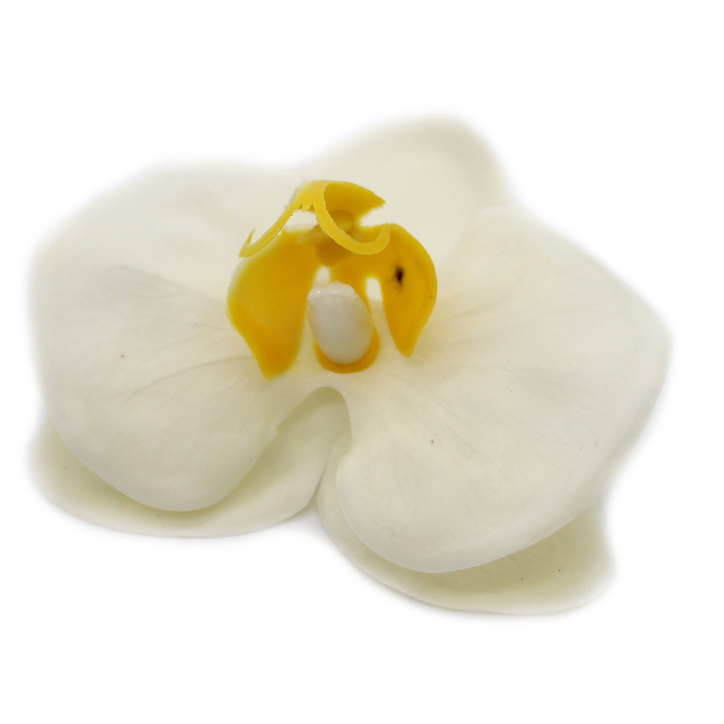 ORQUIDEAS DE JABÓN X 25 UNIDADES