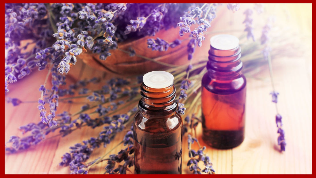 ACEITE ESENCIAL DE LAVANDA. EL PREFERIDO