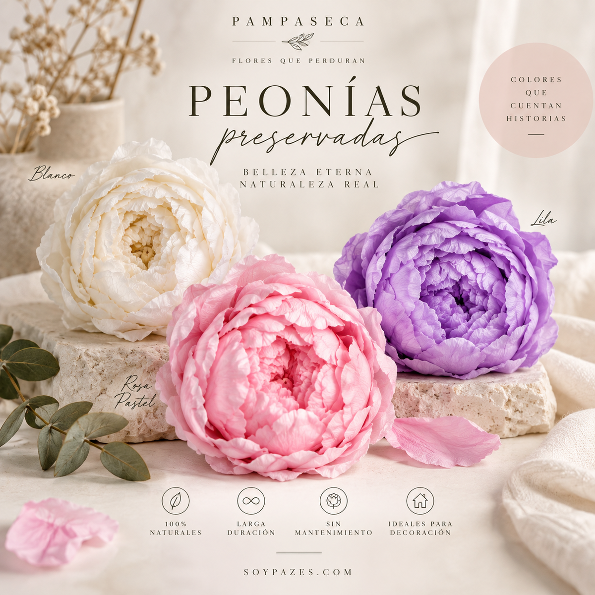 Peonias Preservadas