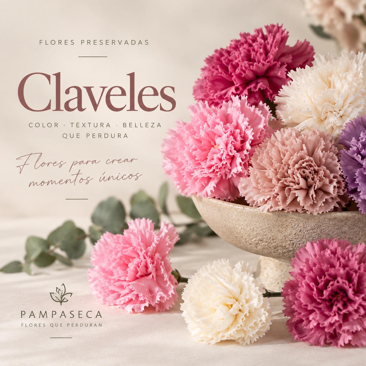 Claveles preservados