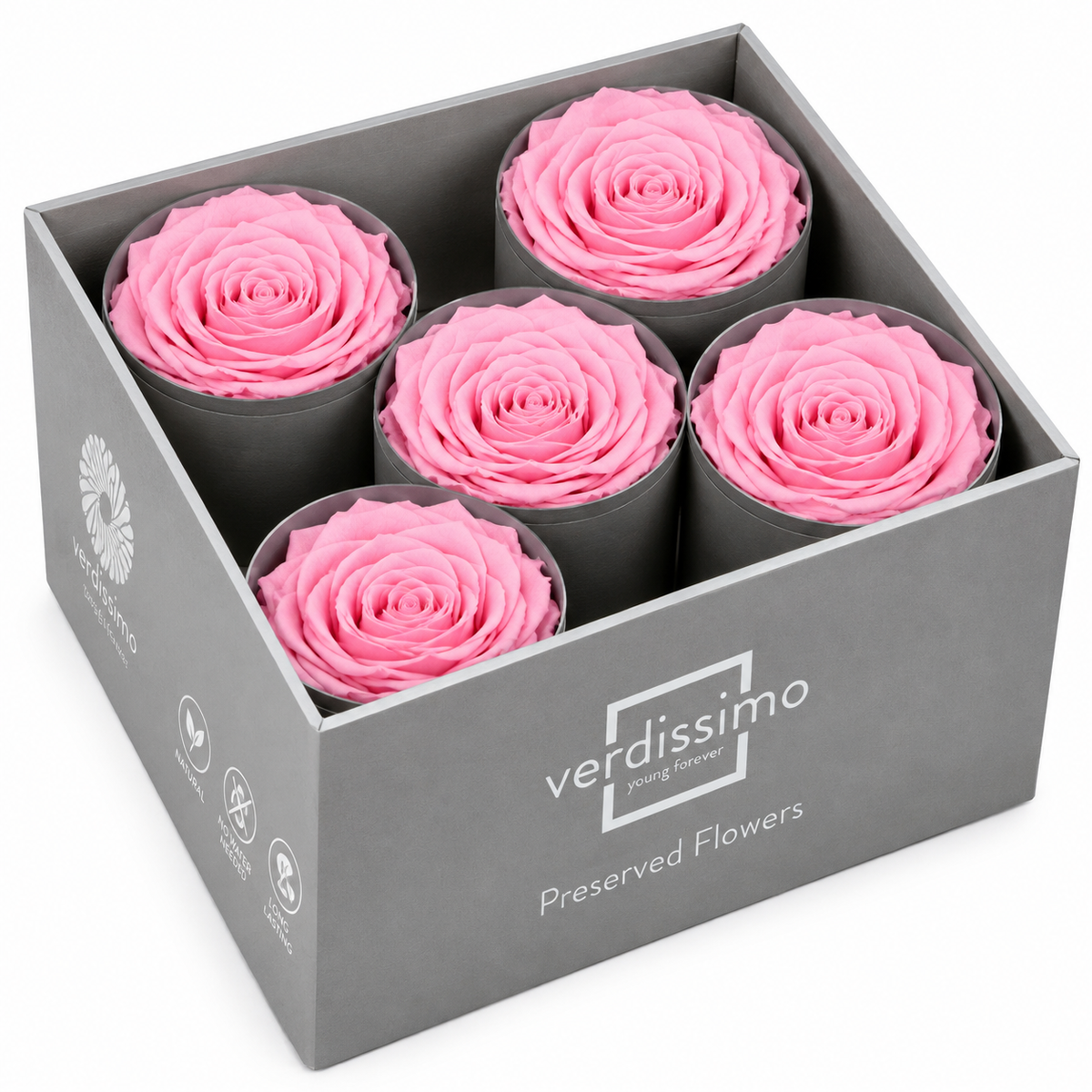 Rosa Reina Preservada – Flor Natural de Gran Tamaño