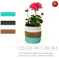 CESTAS DE ALGAS MARINAS SET X 3 UNIDADES