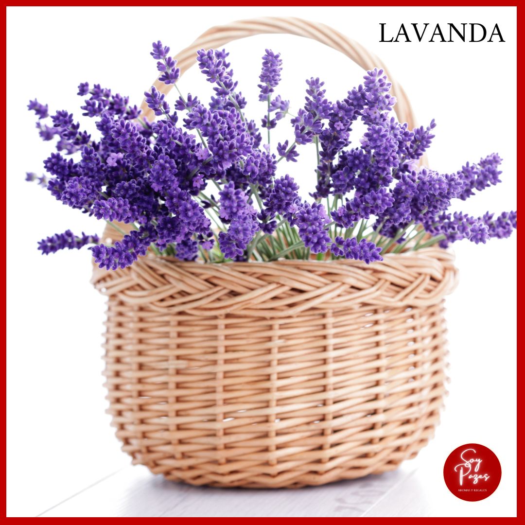 ACEITE ESENCIAL LAVANDA 10 ml