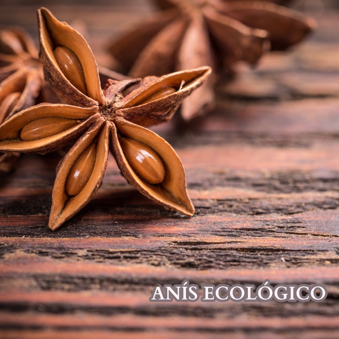 ANÍS ESTRELLADO ENTERO ECOLÓGICO