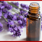 ACEITE ESENCIAL DE LAVANDA ALPINA ALTA  10ML
