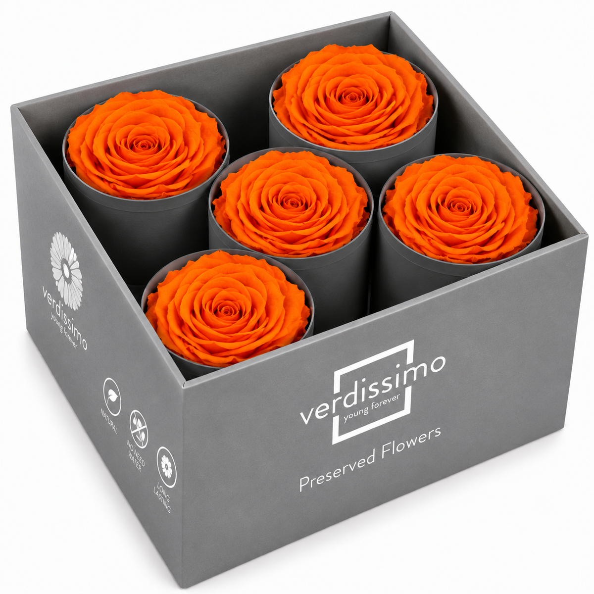 Rosa Reina Preservada – Flor Natural de Gran Tamaño