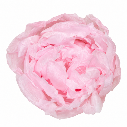 PEONIA PRESERVADA ROSA PASTEL