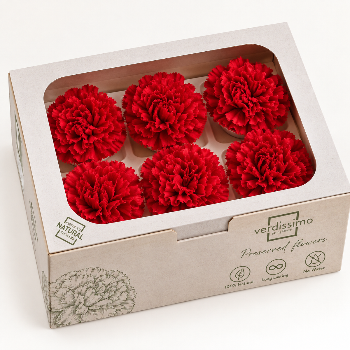 Clavel preservado rojo