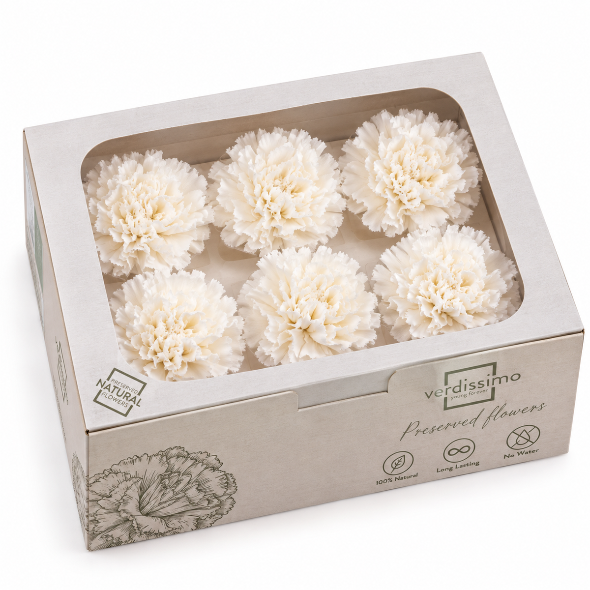 Clavel preservado blanco