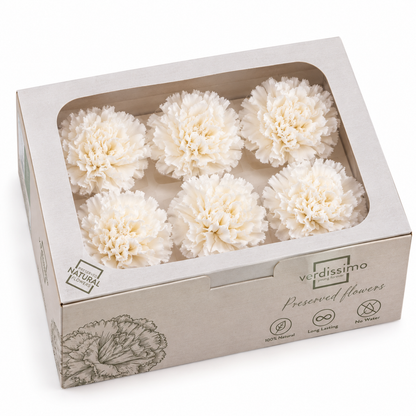 Clavel preservado blanco
