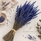 Lavanda Preservada azul