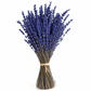 Lavanda Preservada azul