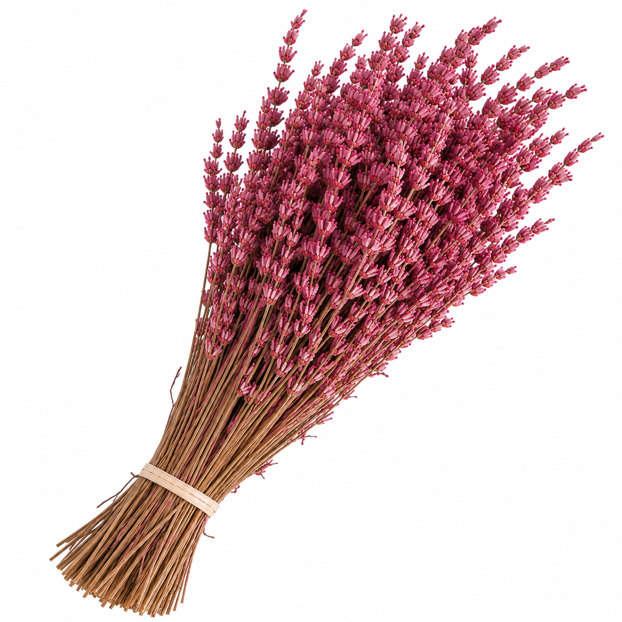 Lavanda rosa oscuro preservada