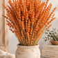 Lavanda naranja preservada