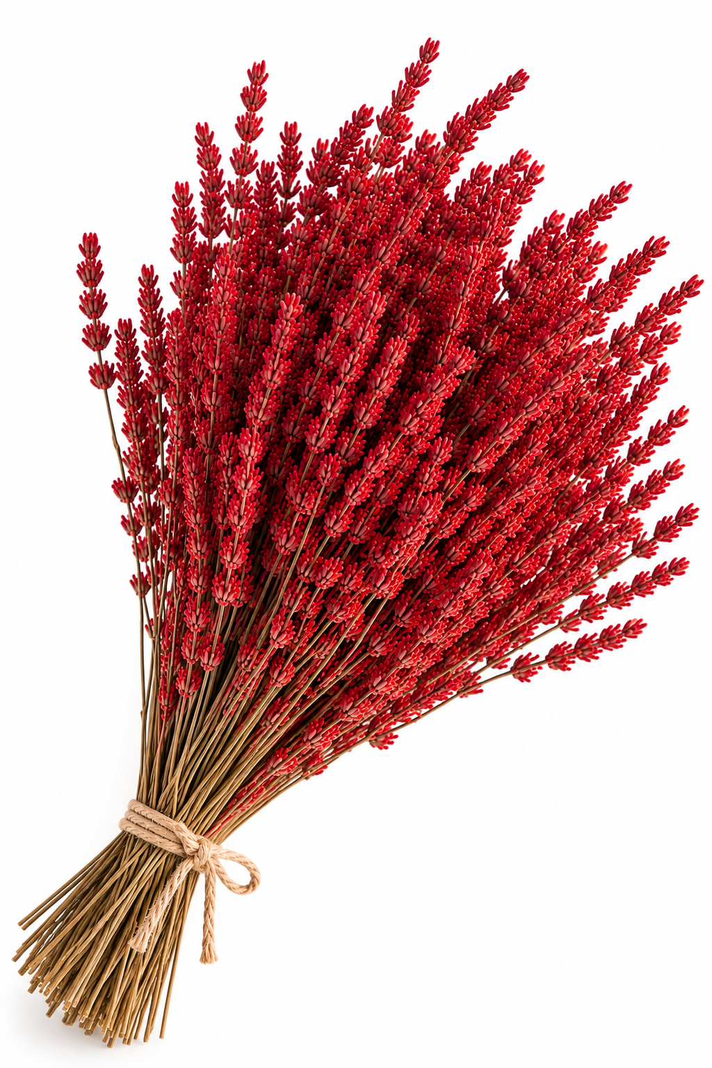 Lavanda roja preservada