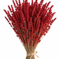Lavanda roja preservada