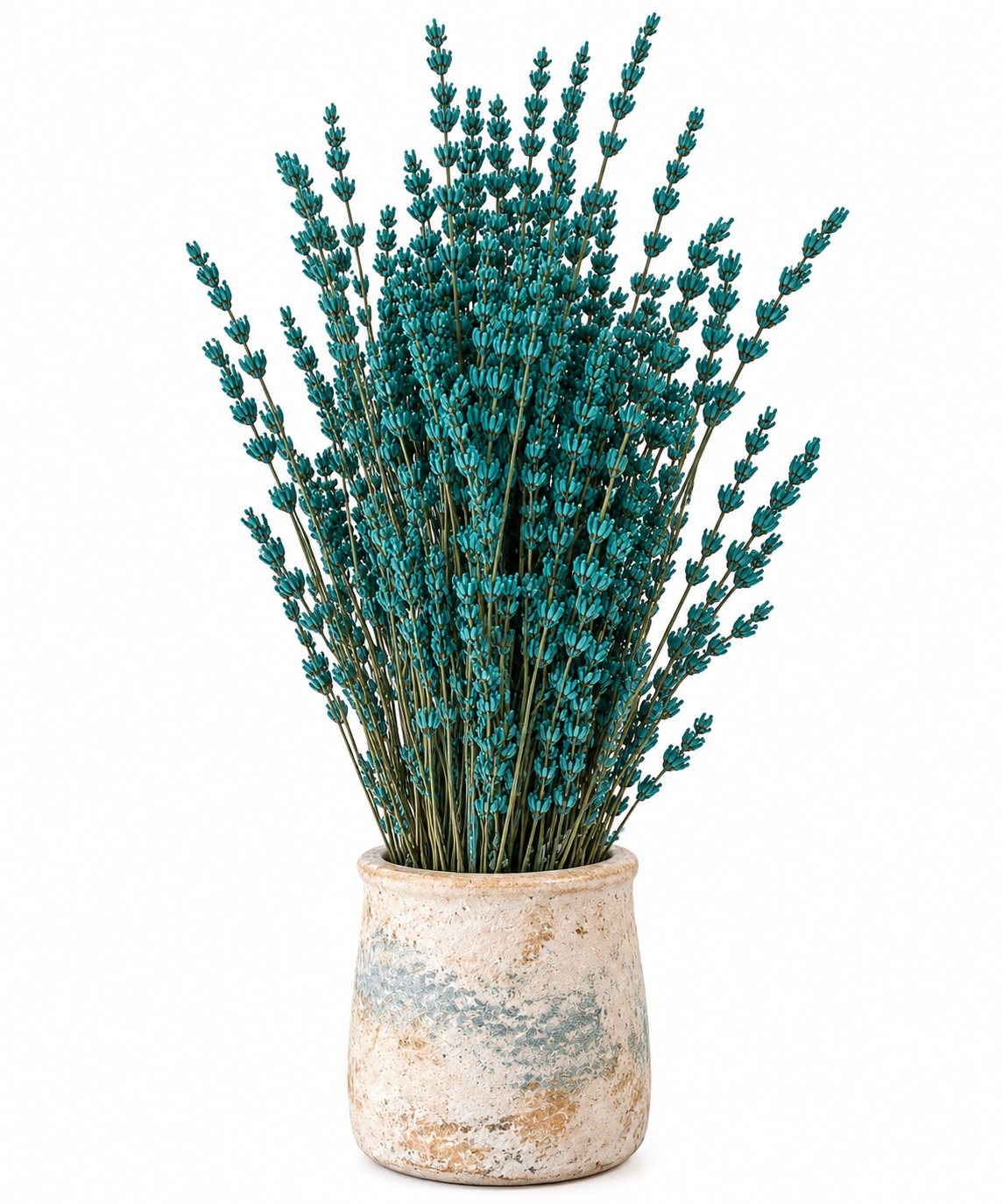 Lavanda turquesa preservada