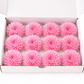 Crisantemo mini Kogiku preservado Earth Matters – Sherbet Pink