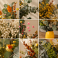 CENTRO FLORAL SOLANA