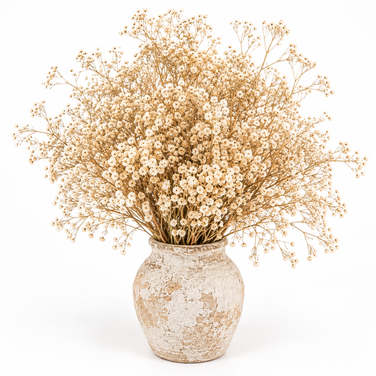 Gypsófila natural preservada (paniculata)
