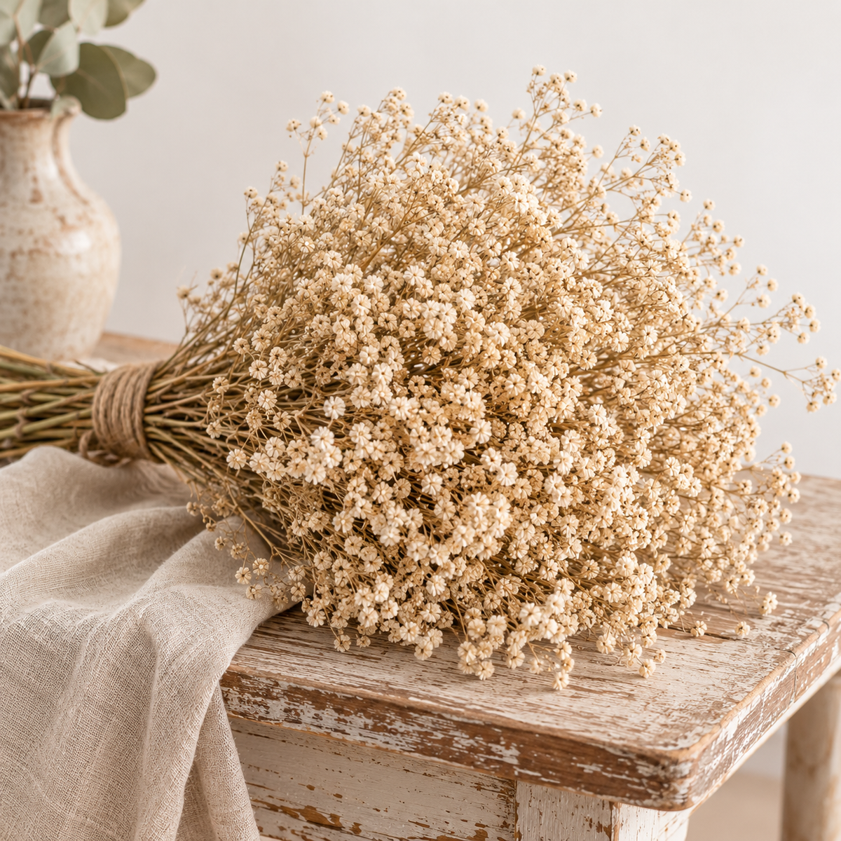 Gypsófila natural preservada (paniculata)