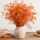 Gypsófila naranja preservada (paniculata)