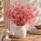 Gypsófila rosa preservada (paniculata)