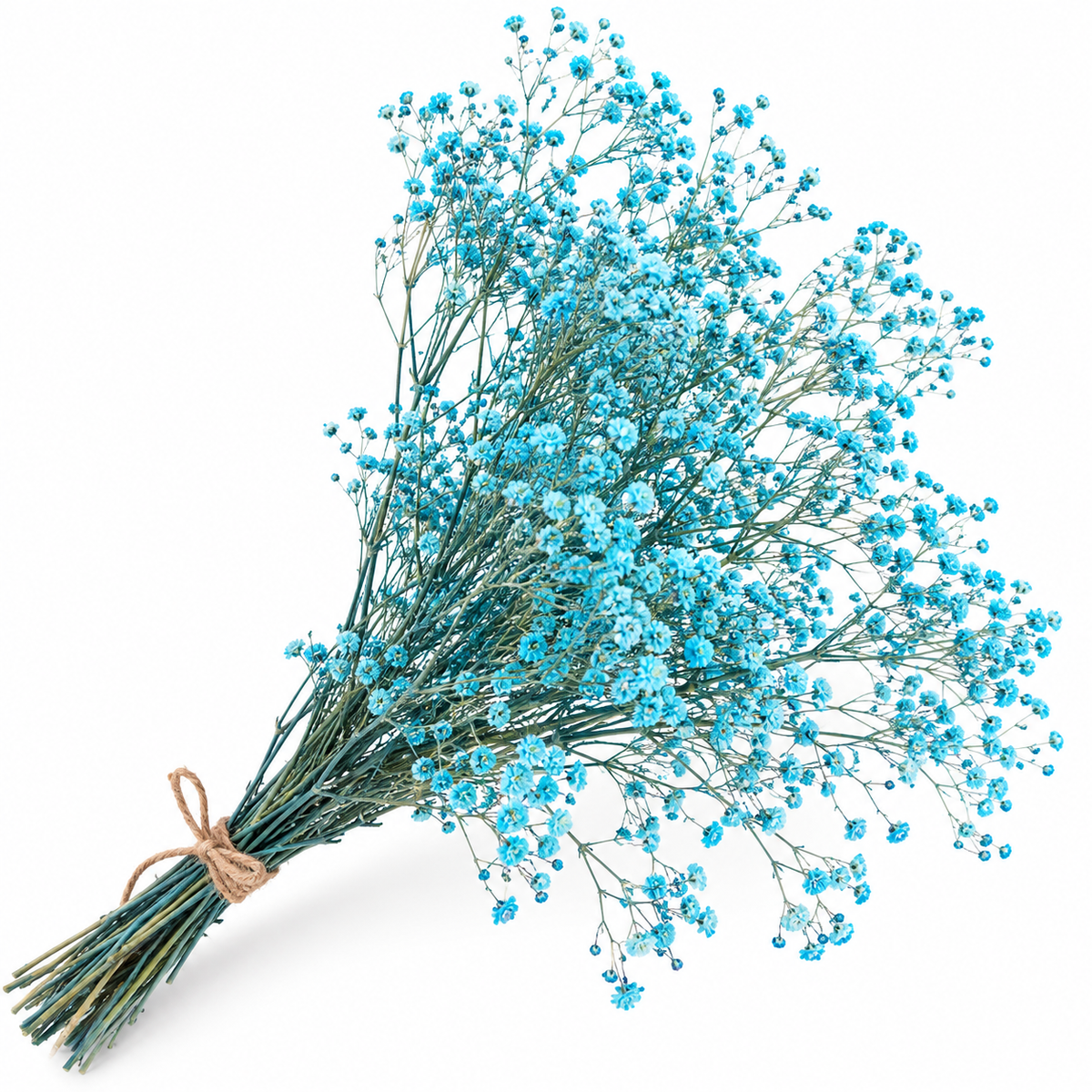 Gypsófila azul claro preservada (paniculata)
