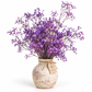 Gypsófila morado preservada (paniculata)