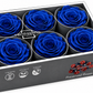Rosa Standard preservadas