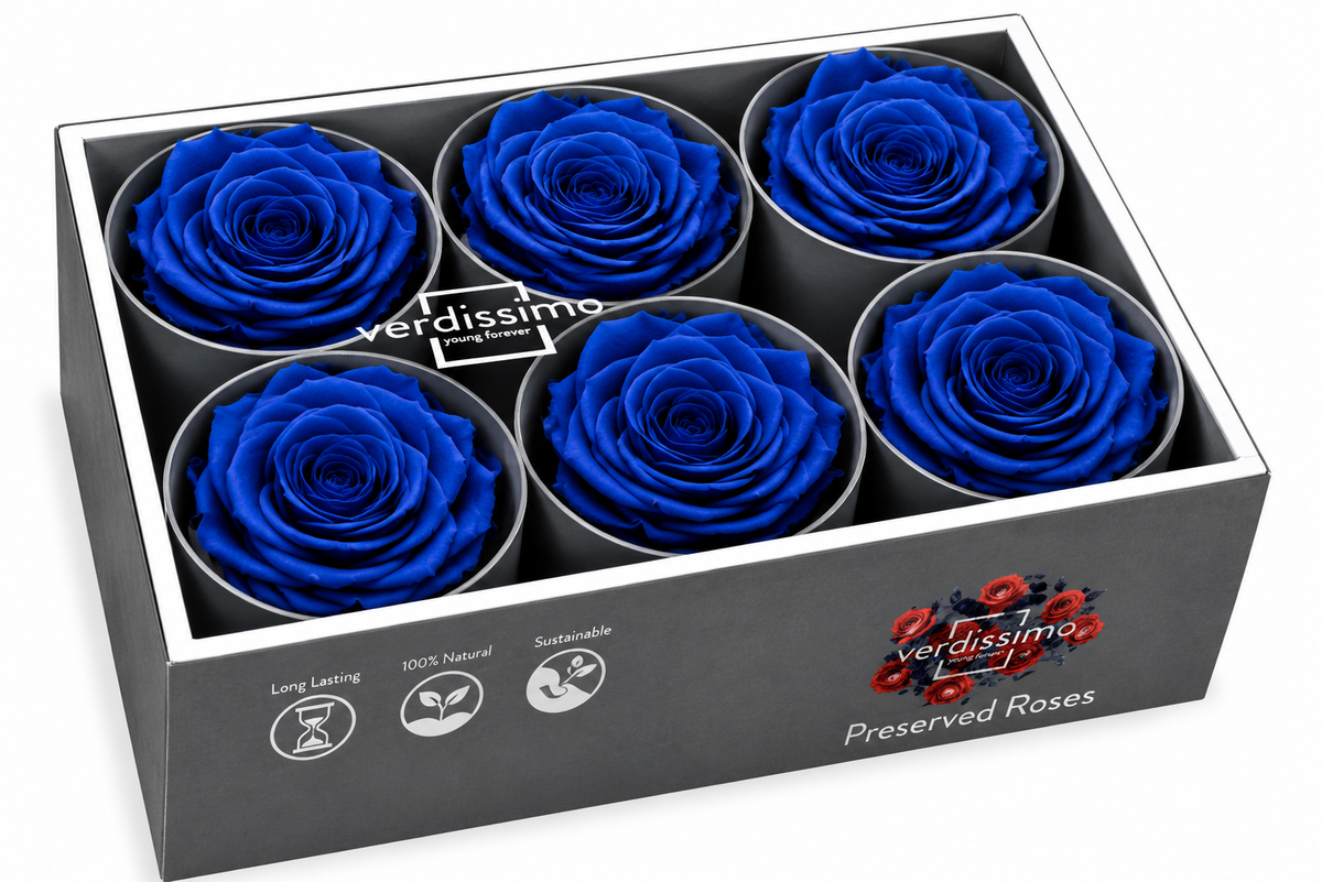 Rosa Standard preservadas
