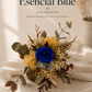 Ramo Esencial Blue