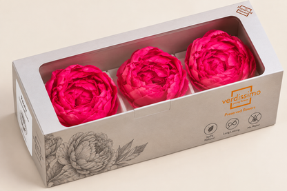 PEONIA PRESERVADA ROSA OSCURO