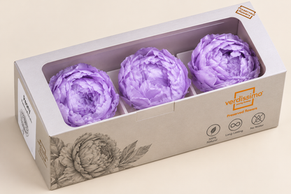 PEONIA PRESERVADA MORADA