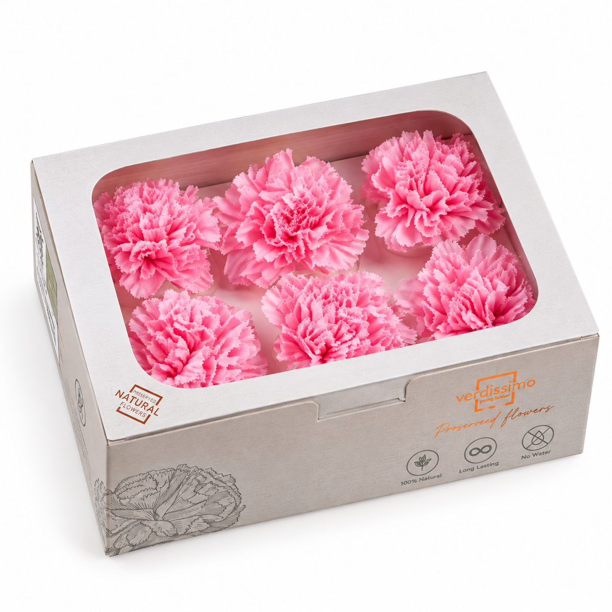 Clavel preservado rosa