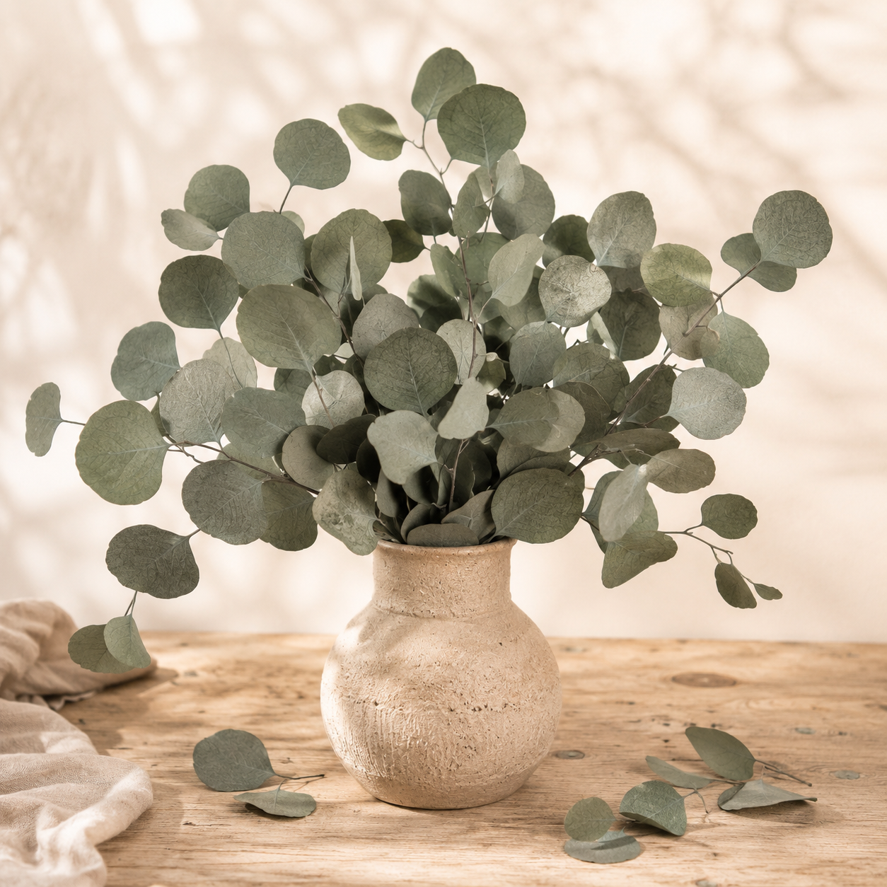 🌿 Eucalipto Preservado Populus
