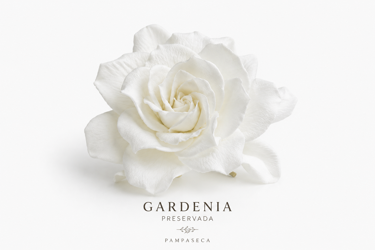 Gardenia preservada blanca
