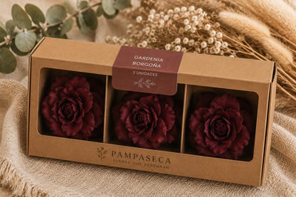 Gardenia preservada Burgundy