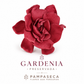 Gardenia preservada arándano