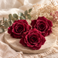 Gardenia preservada Burgundy